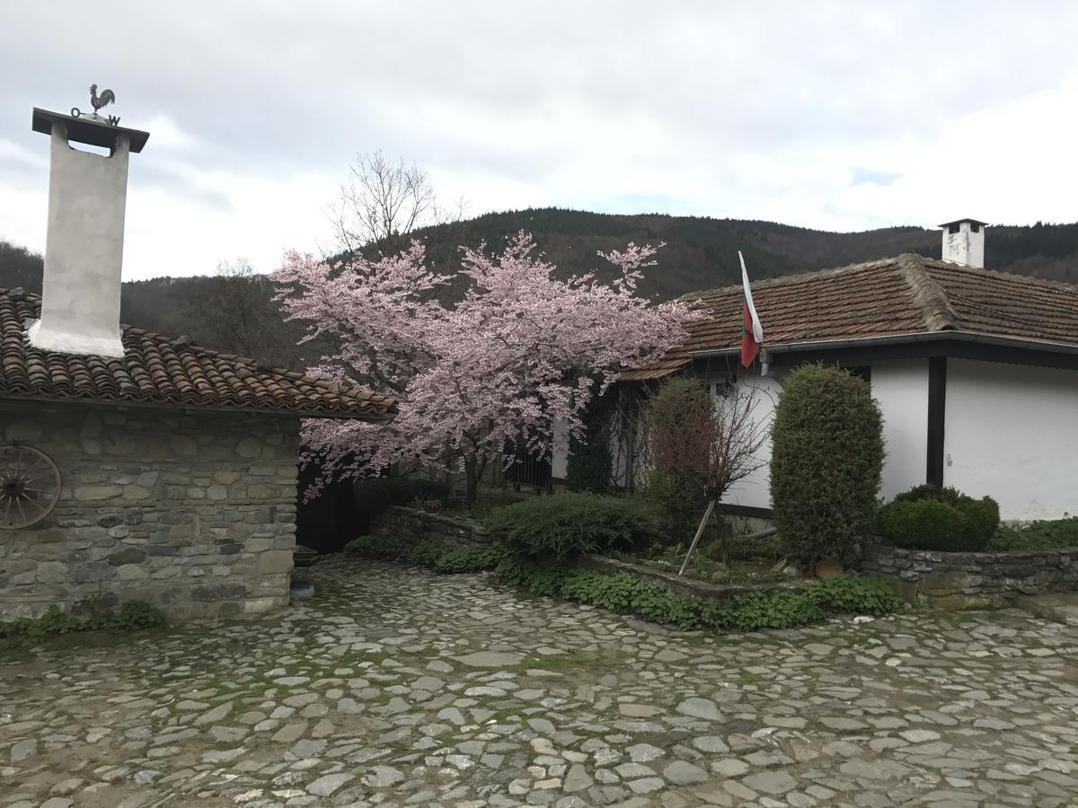 Hotel Divetsite Sliven Dış mekan fotoğraf